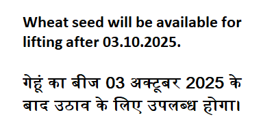 Wheat (गेंहूँ)